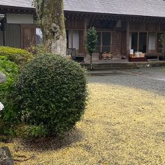 長興山紹太寺