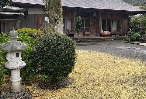 長興山紹太寺