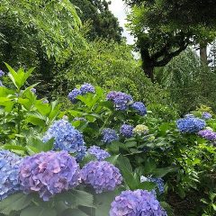 長興山紹太寺