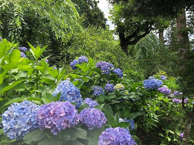 長興山紹太寺