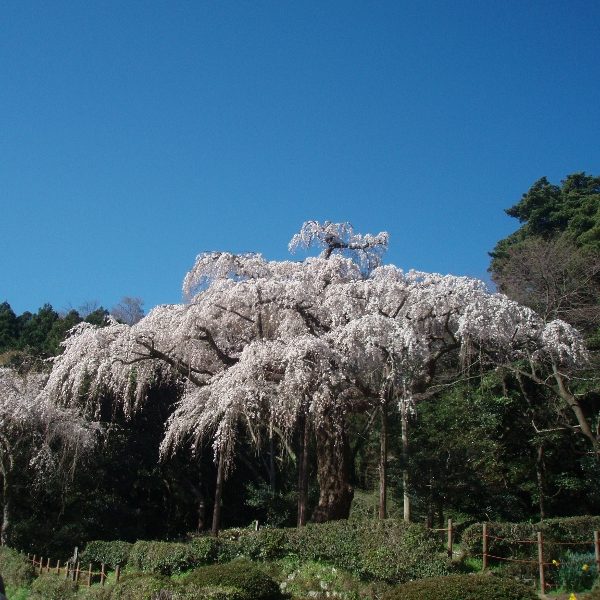 長興山 紹太寺 Just Another Wordpress Site