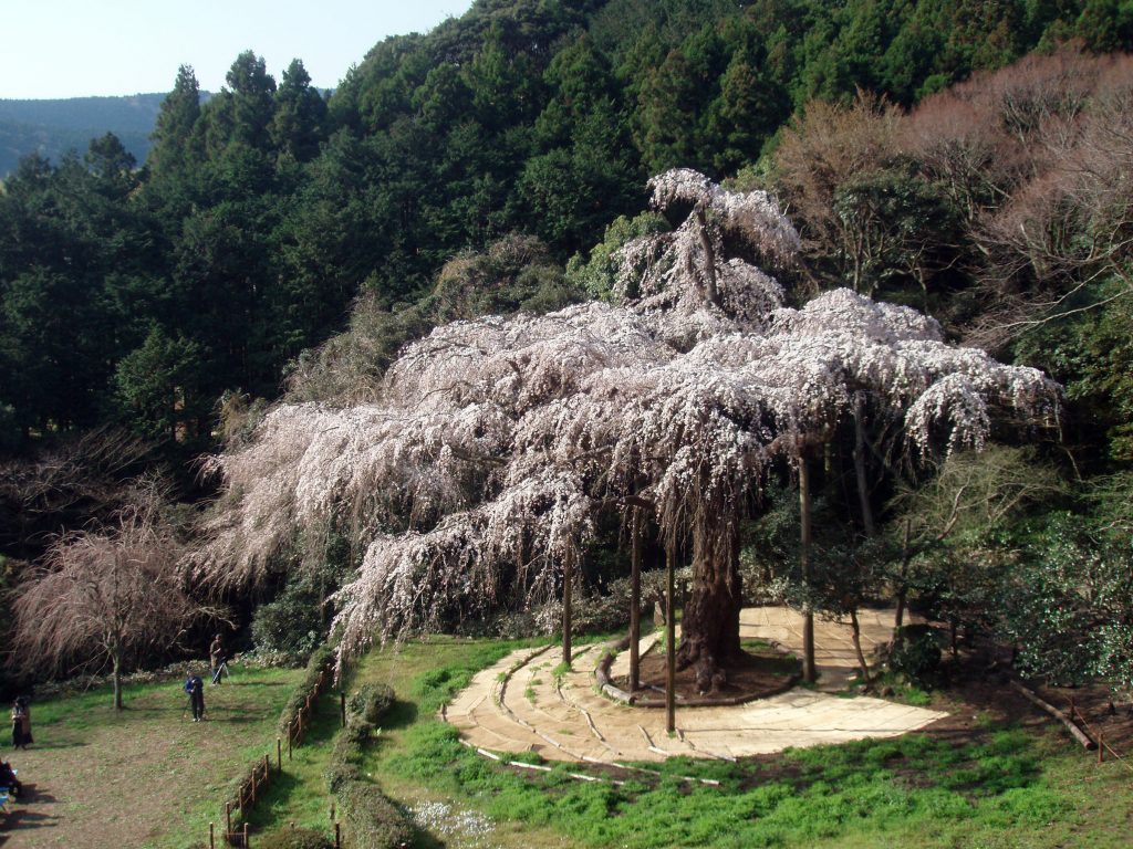 長興山紹太寺